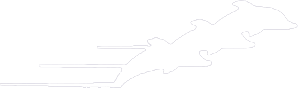 Delfinlogo